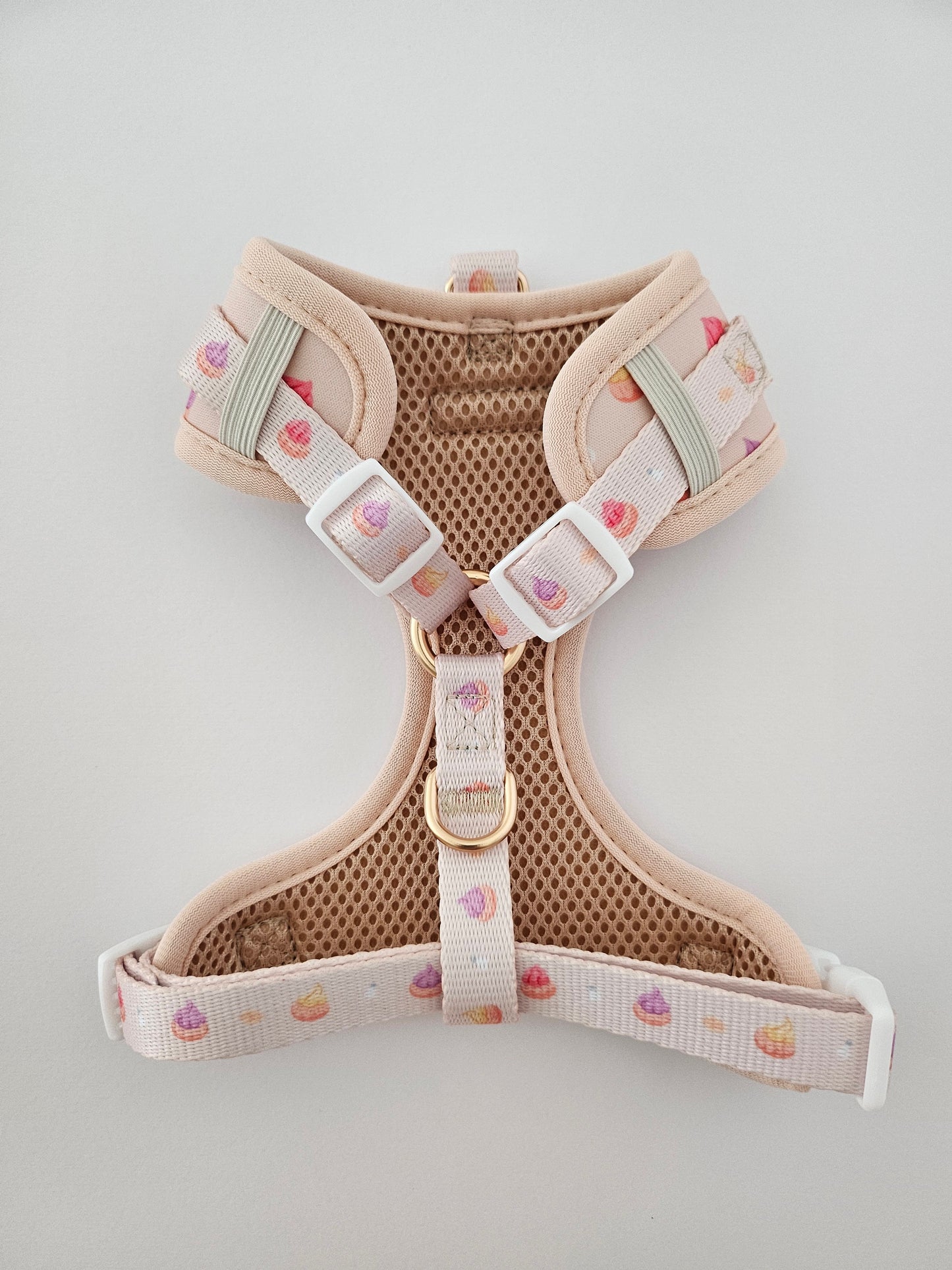 gem biscuits harness
