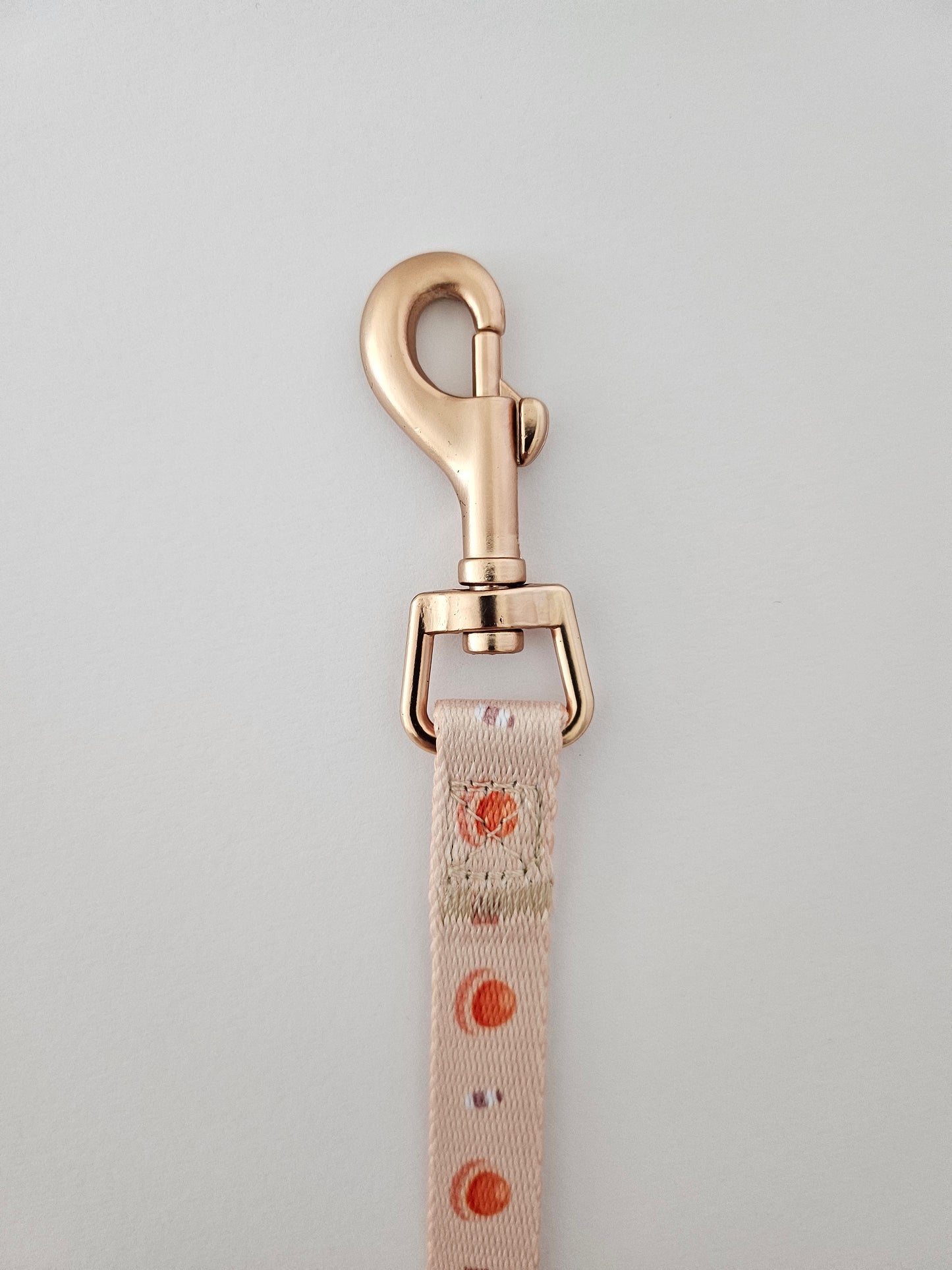pineapple tarts leash