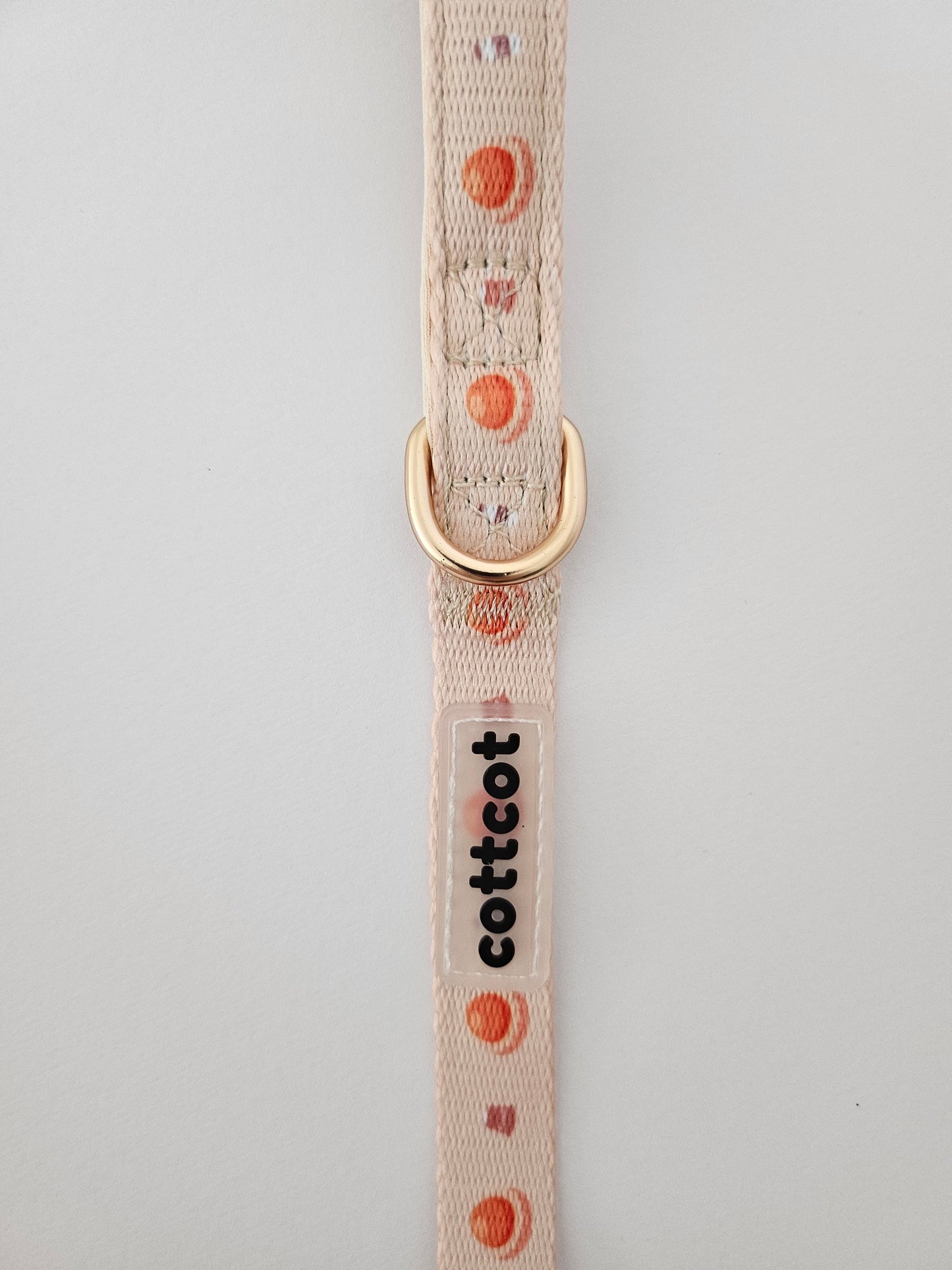 pineapple tarts leash