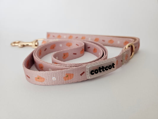 kueh lapis leash